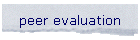 peer evaluation